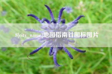 阳春地图指南针图标图片