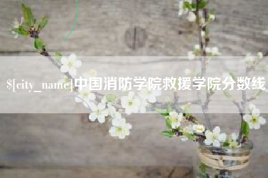 阳春中国消防学院救援学院分数线