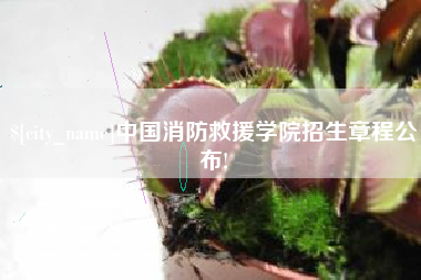 阳春中国消防救援学院招生章程公布!