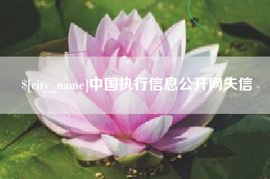 阳春中国执行信息公开网失信
