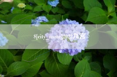 阳春2022九宫