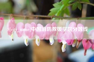 阳春中国消防救援学院分数线