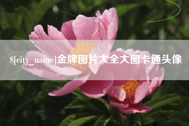 阳春金牌图片大全大图卡通头像
