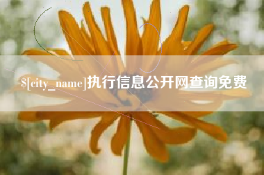 阳春执行信息公开网查询免费