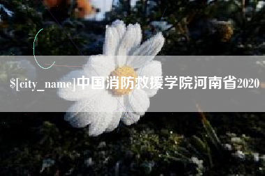 阳春中国消防救援学院河南省2020